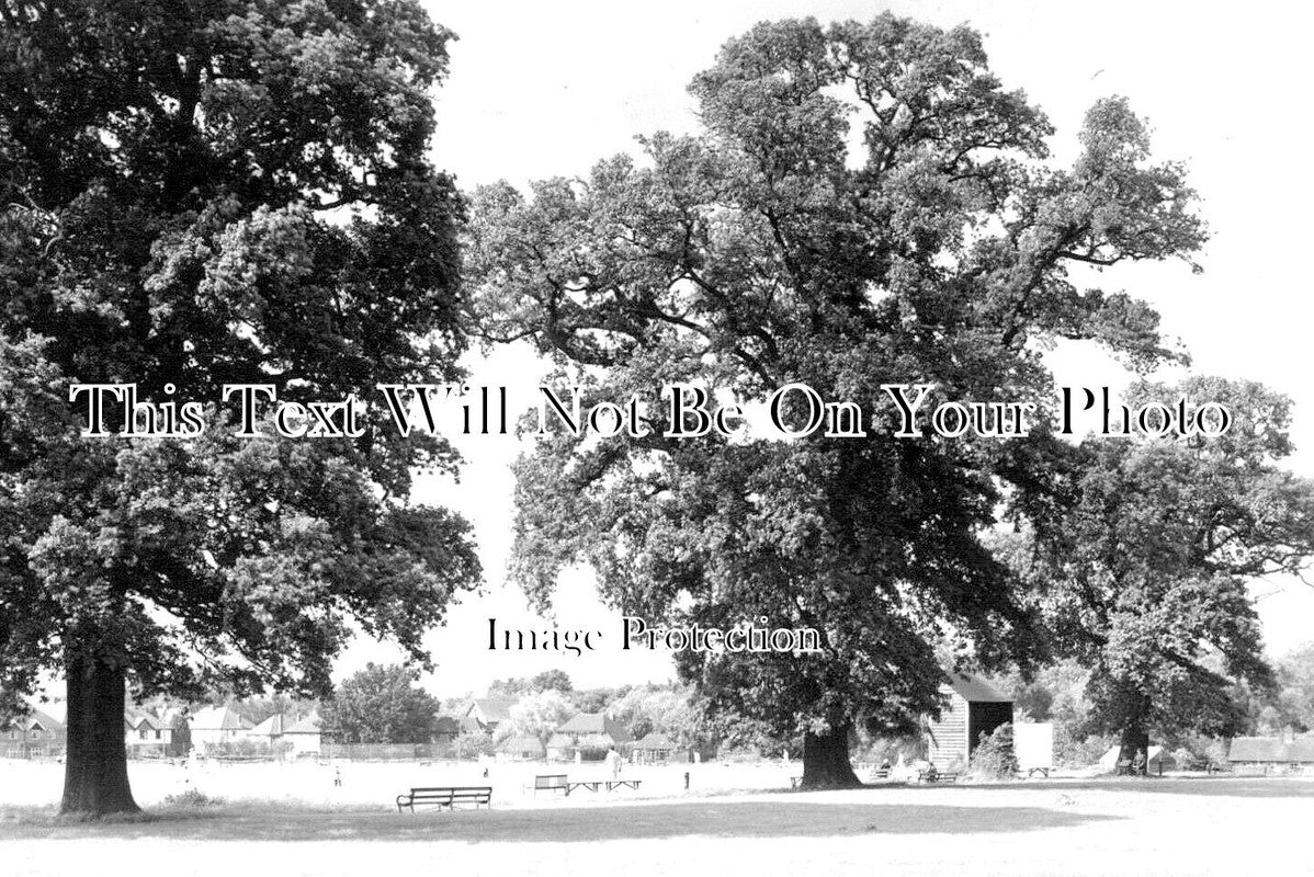 SX 3913 - Horsham Cricket Field, Sussex c1968