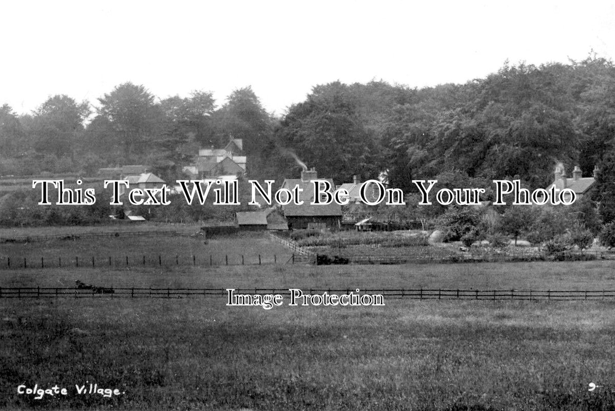 SX 5003 Colgate, Sussex JB Archive