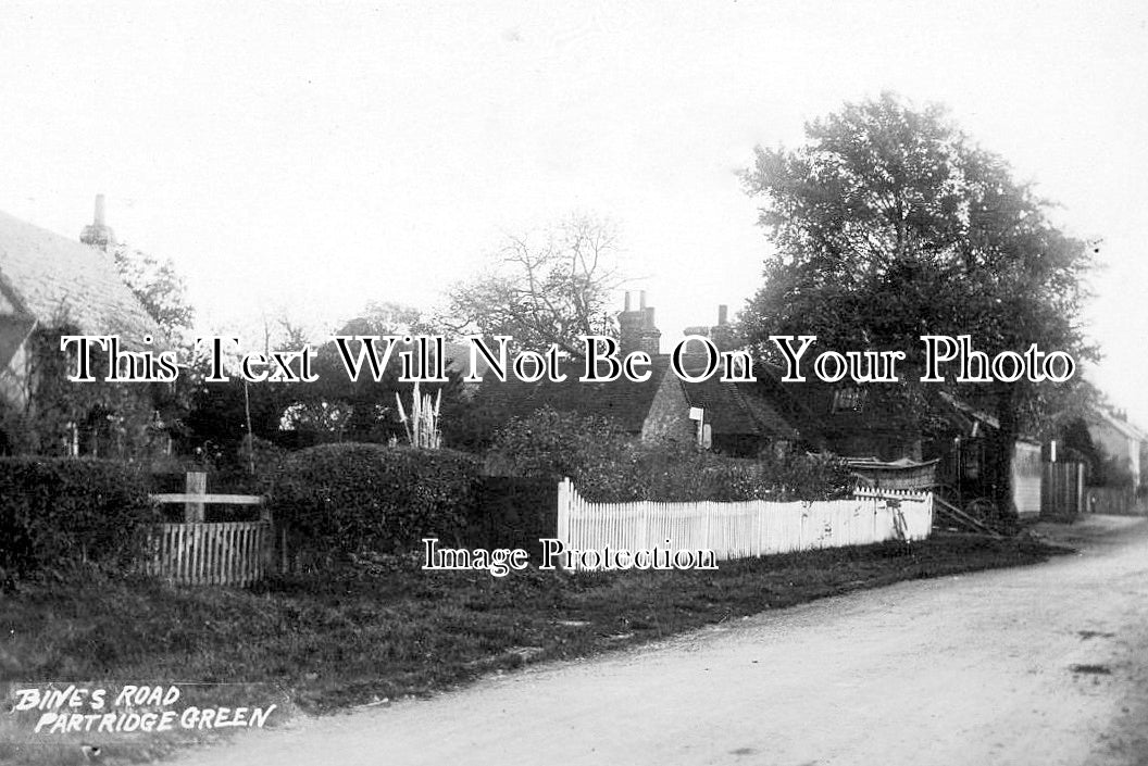 SX 572 - Bines Road, Partridge Green, Henfield, Sussex c1914