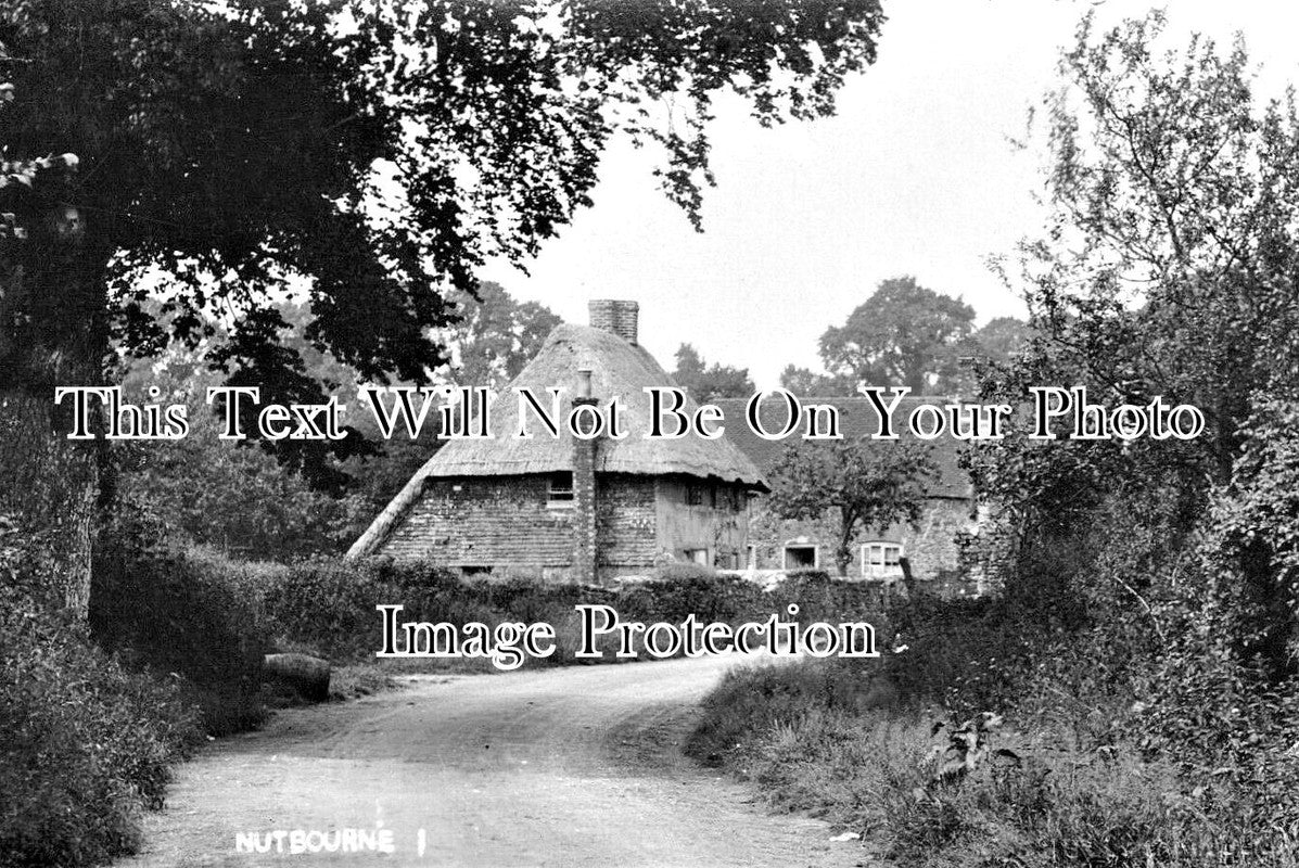 SX 5905 - Nutbourne, Sussex