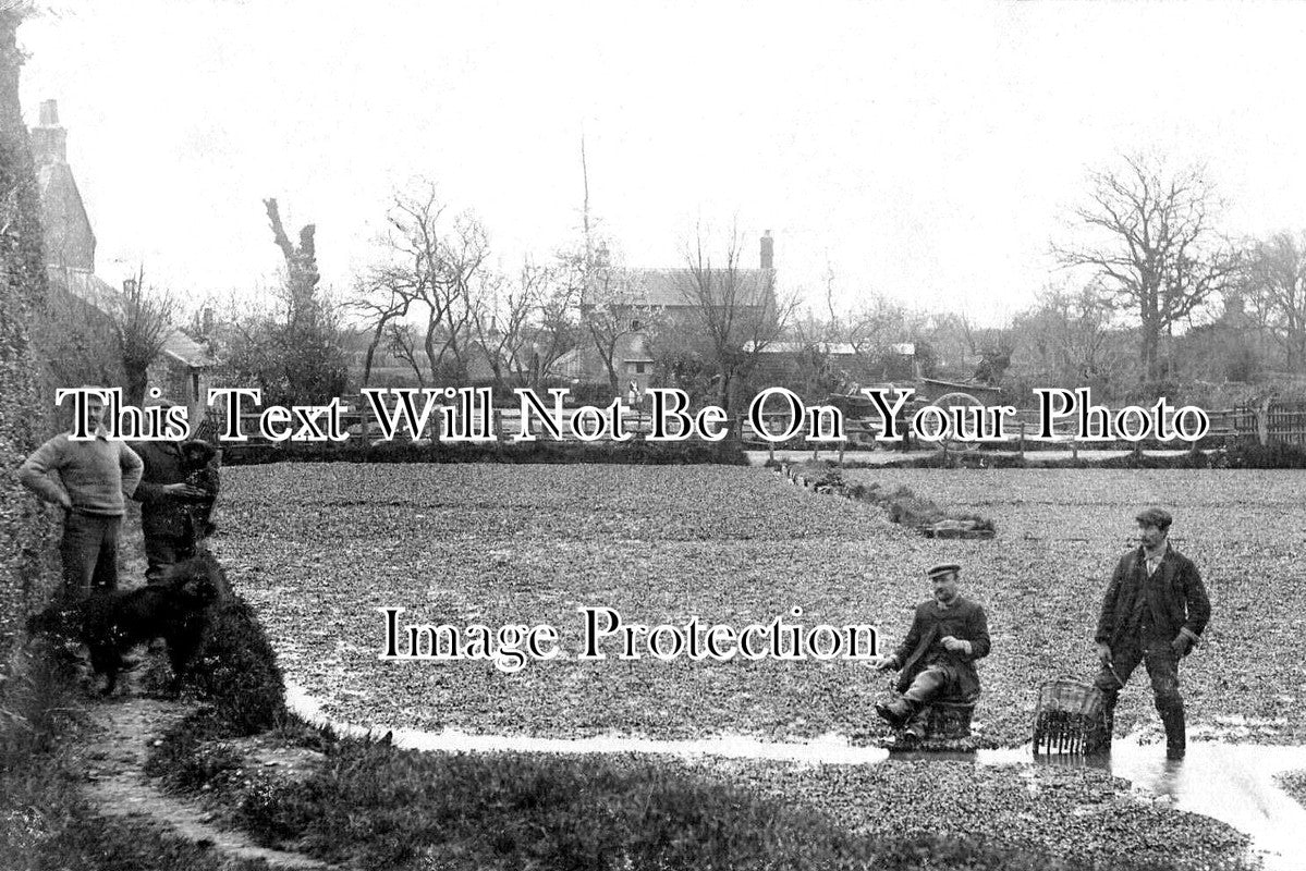 SX 5909 - Watercress Beds At West Ashling, Sussex