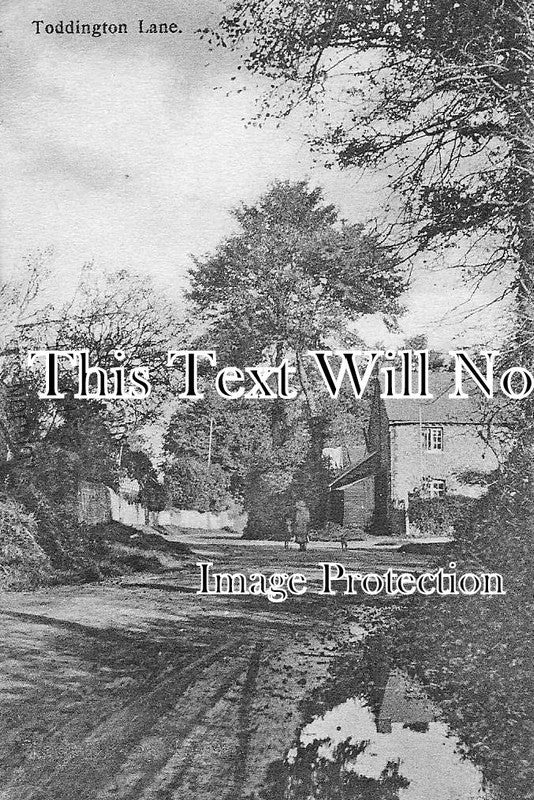 SX 591 - Toddington Lane, Littlehampton, West Sussex c1919
