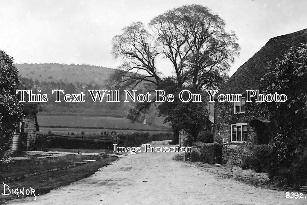 SX 901 - Bignor, Sussex