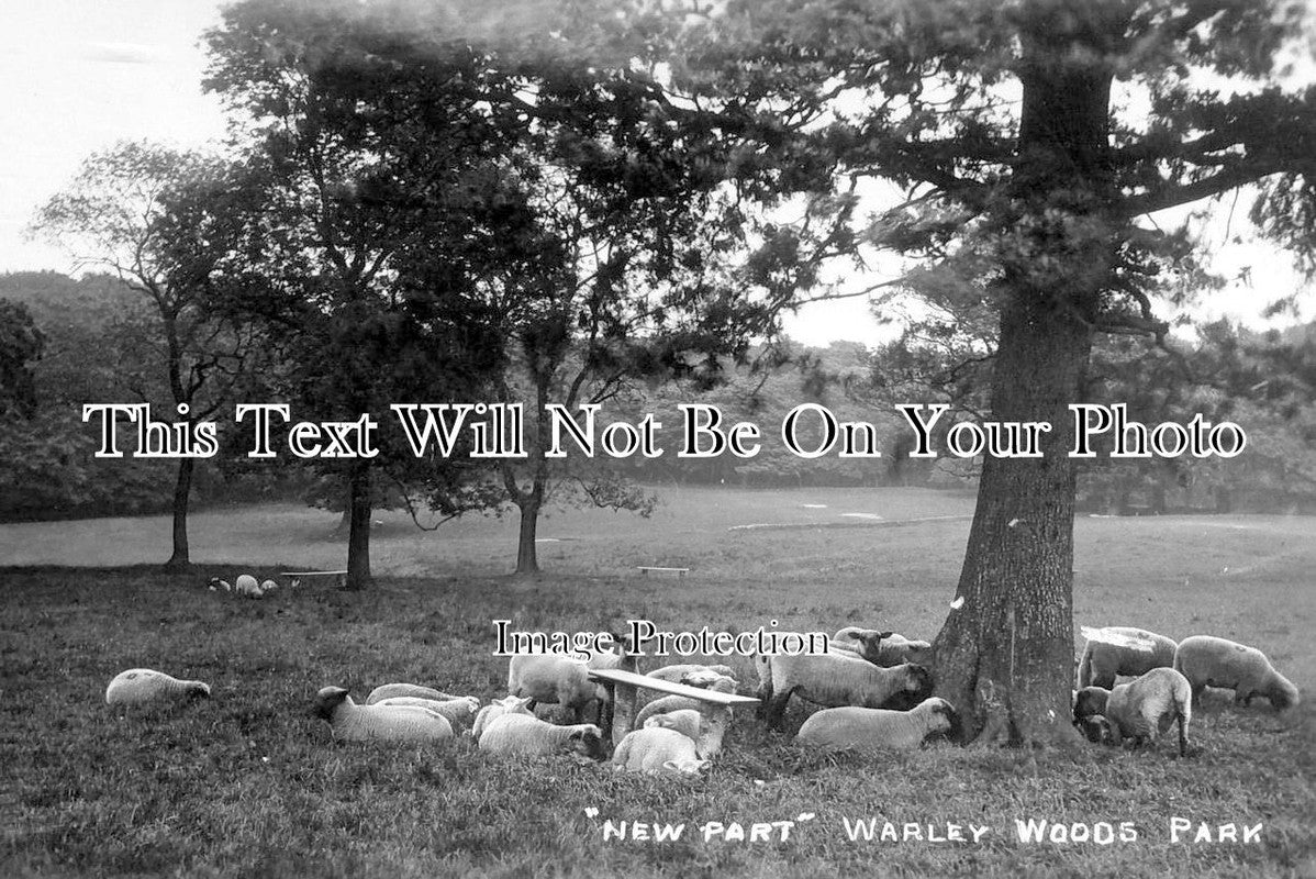 WA 420 - New Part, Warley Woods Park, Warwickshire c1914