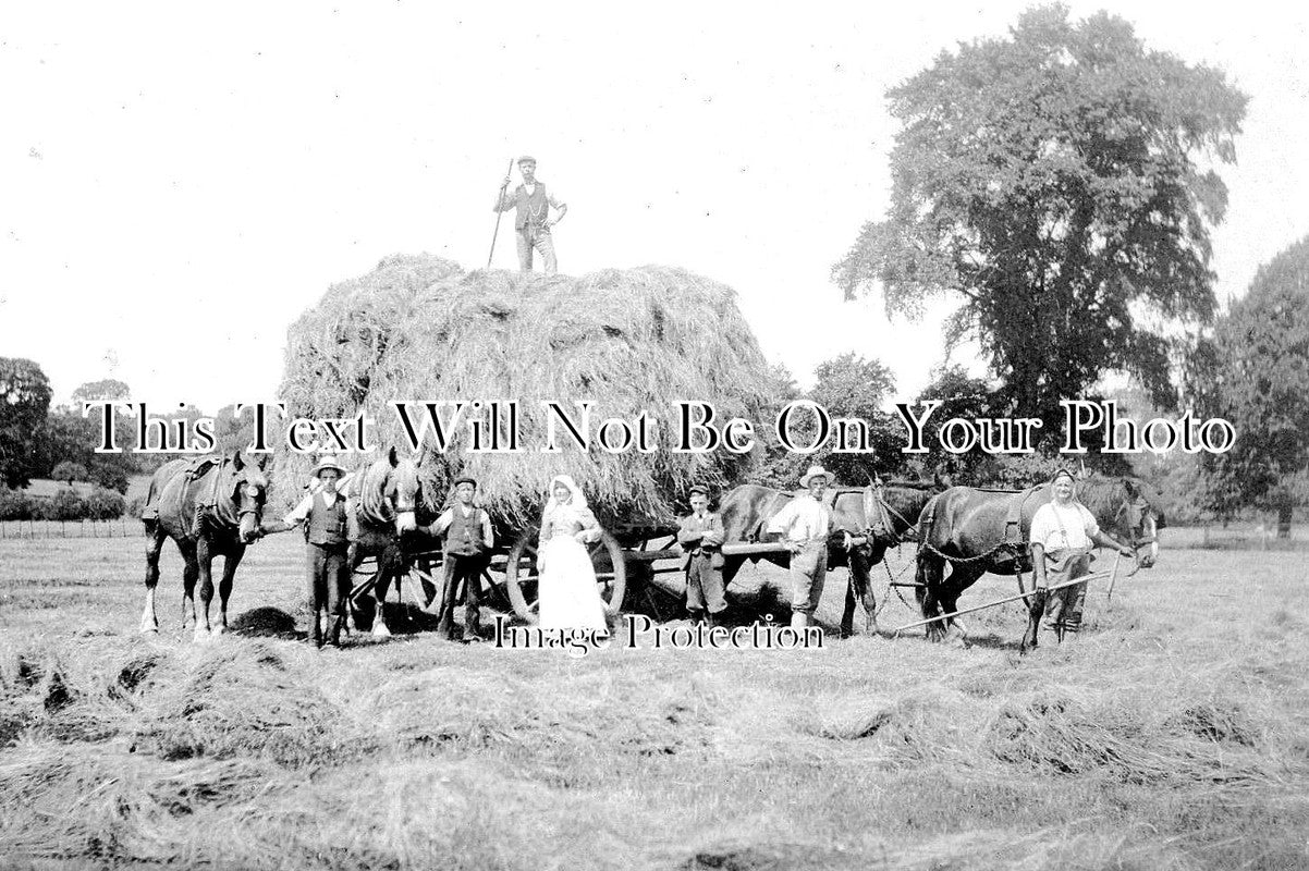 WA 824 Horse Cart Haymaking Great Wolford Shipston On Stour