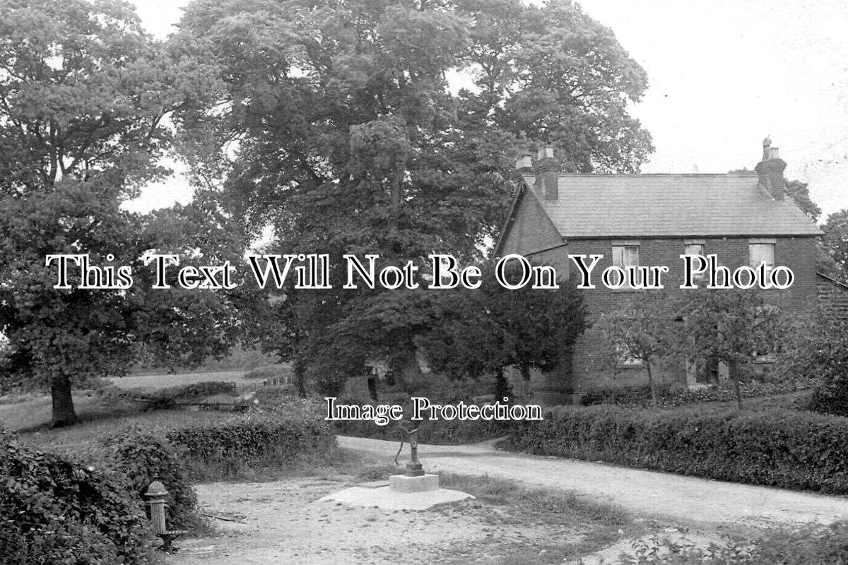 WI 1197 - Hollands Well, West Grimstead, Wiltshire