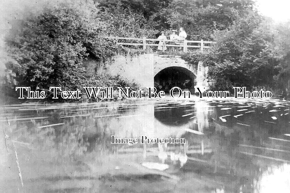 WI 1288 - Corsham Wyvern, Wiltshire c1907