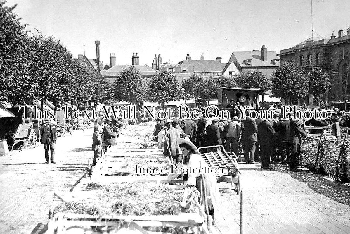 WI 1320 - Livestock Market, Salisbury, Wiltshire c1905