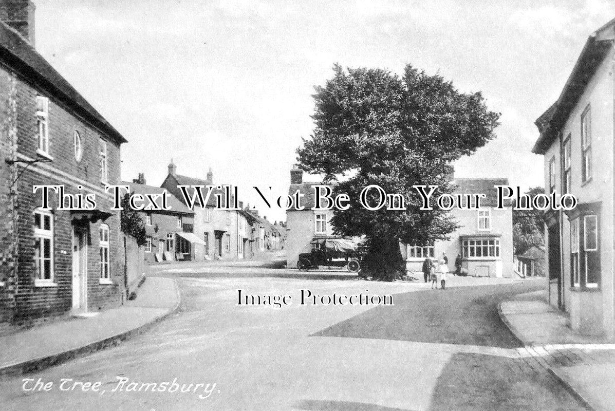 WI 1682 - The Tree, Ramsbury, Wiltshire c1920