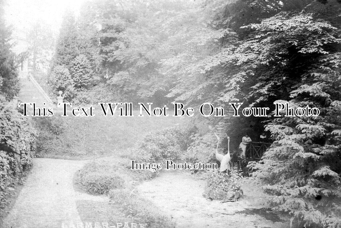 WI 1683 - Larmer Park Near Tollard Royal, Wiltshire c1905