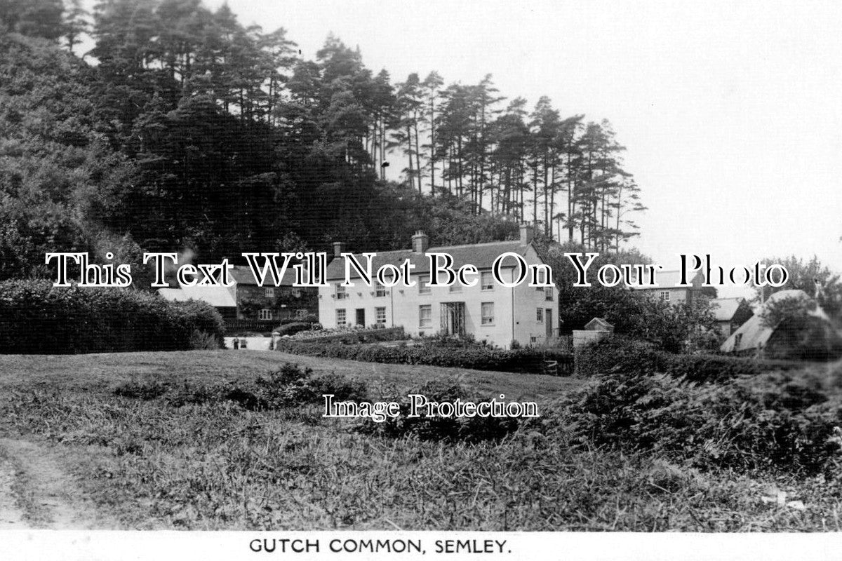 WI 237 - Gutch Common, Semley, Wiltshire