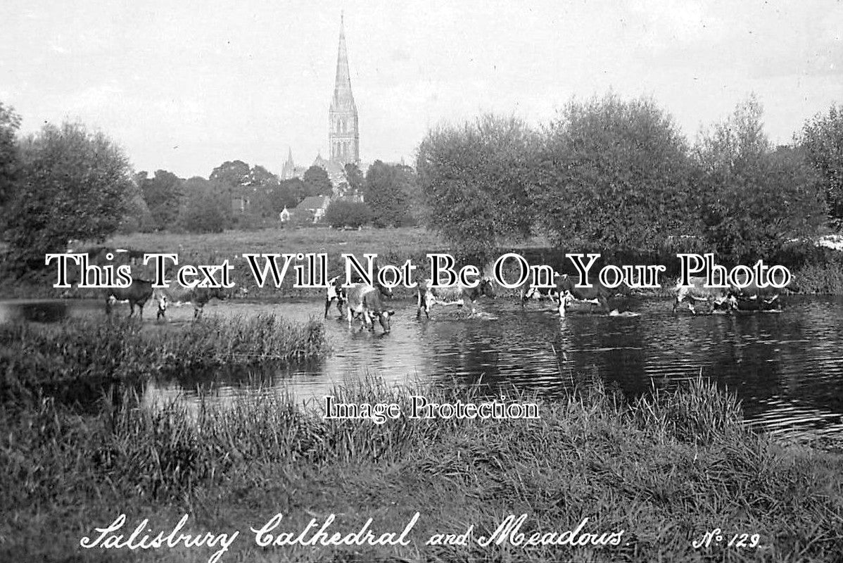 WI 291 - Salisbury Cathedral & Meadows, Wiltshire