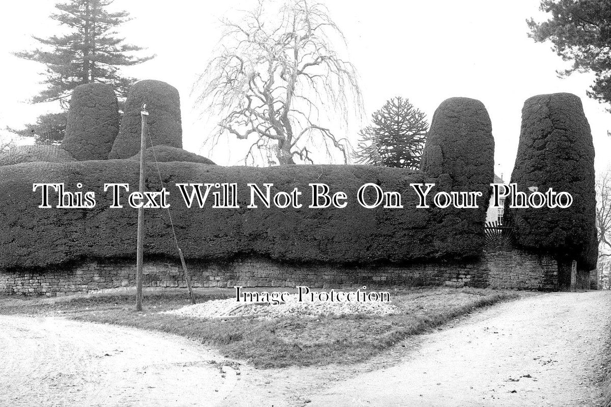 WI 757 - Shaped Hedge, Wroughton, Swindon, Wiltshire c1910