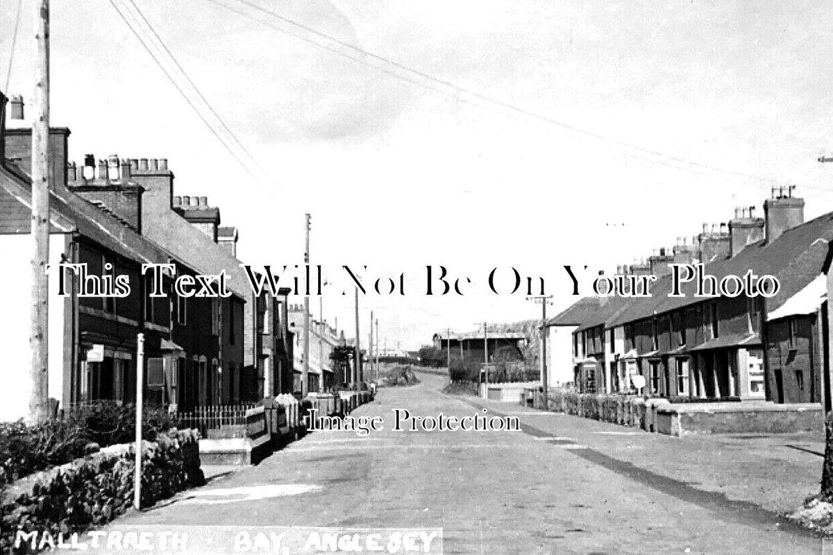 WL 1077 - Malltraeth Bay, Anglesey, Wales