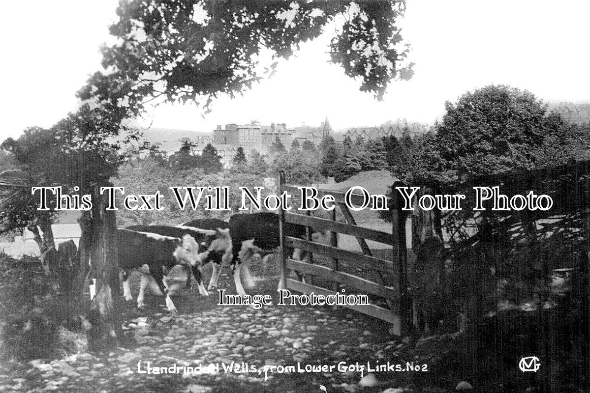 WL 1113 - Llandrindod Wells From Lower Golf Links, Wales