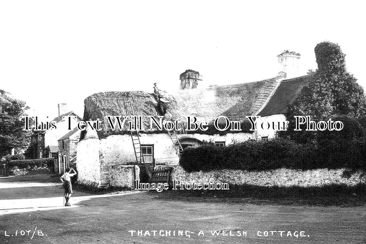 WL 1405 - Thatching A Welsh Cottage, Llanelian, Wales