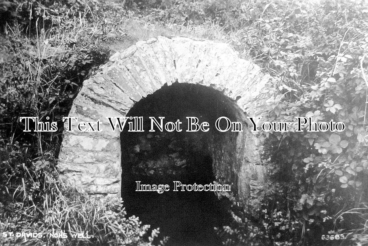 WL 1556 - St Davids Nons Well, Pembrokeshire, Wales