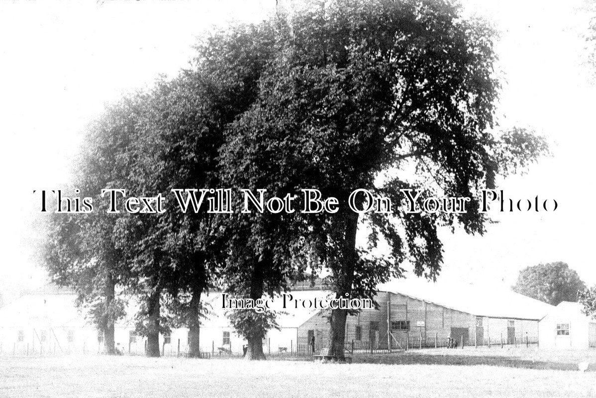 WL 163 - Pavilions, Abergaveny, Eisteddfod, Wales c1913