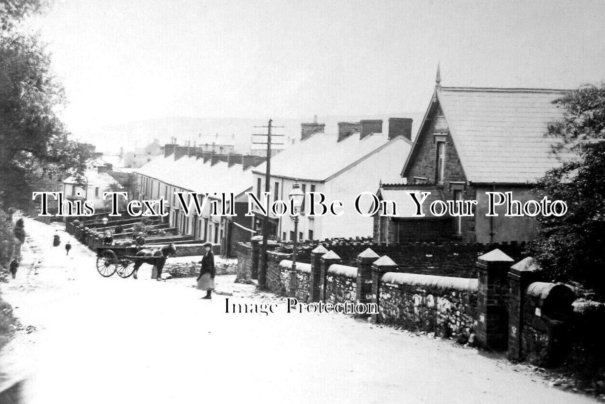 WL 1645 - Llangyfelach Road, Treboeth Street, Swansea, Wales c1908