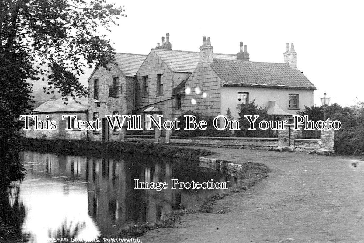 WL 1656 - Cumbran Gardens, Pontnewydd, Wales