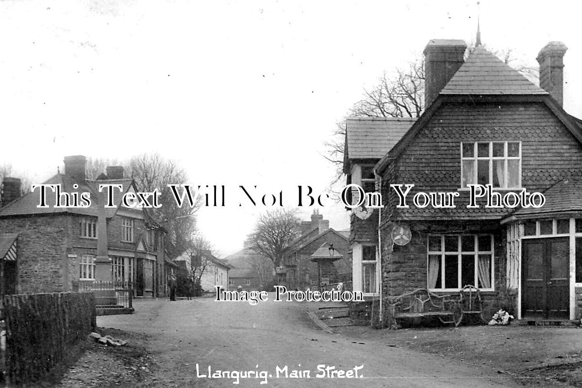 WL 1725 - Black Lion Hotel, Main Street, Llangurig, Wales c1911
