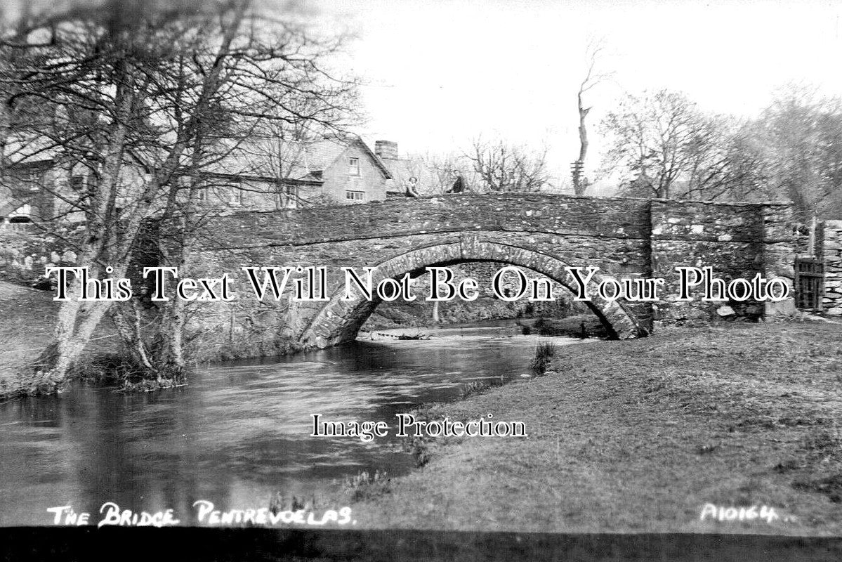 WL 1963 - The Bridge, Pentrevoelas, Wales