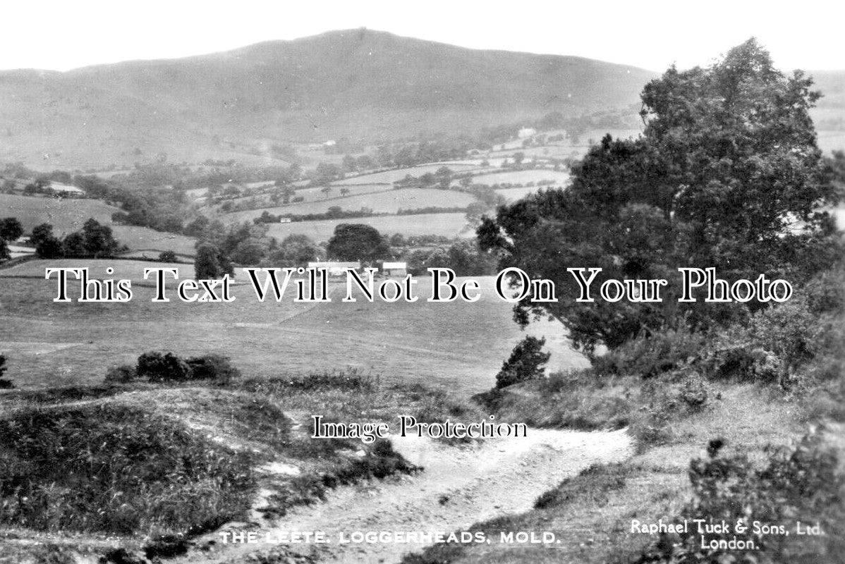 WL 1977 - The Leete, Loggerheads Near Mold, Wales