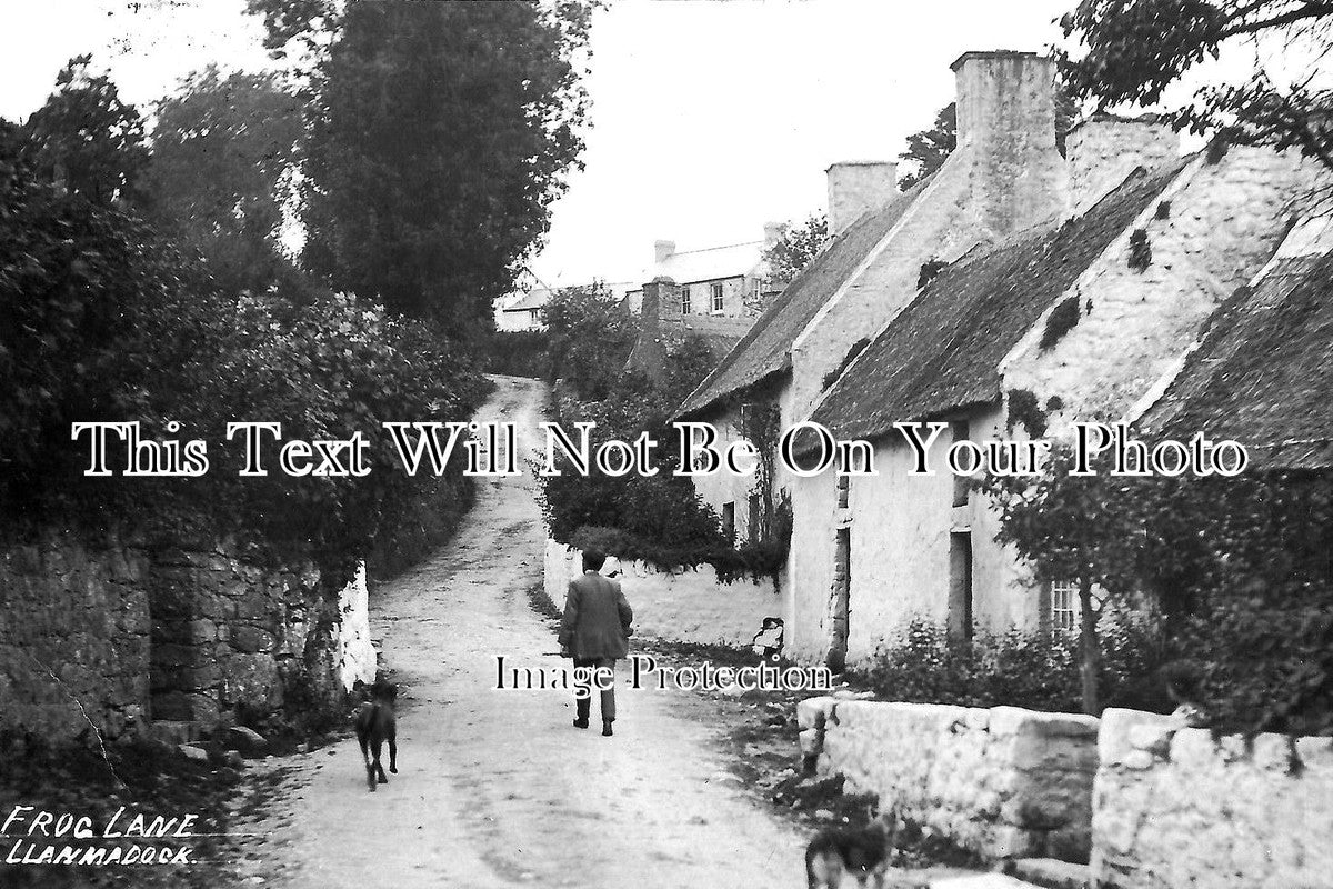 WL 205 - Frog Lane, Llanmadock, Wales c1913