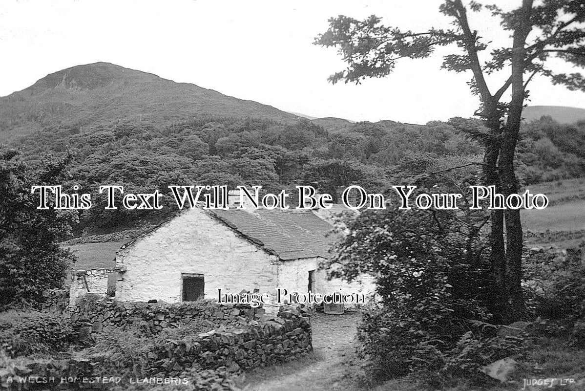 WL 2465 - A Welsh Homestead, Llanberis, Wales
