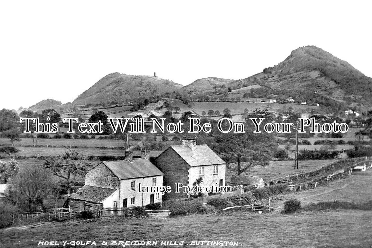 WL 2525 - Moel-y-golfa & Breidden Hills, Buttington, Wales