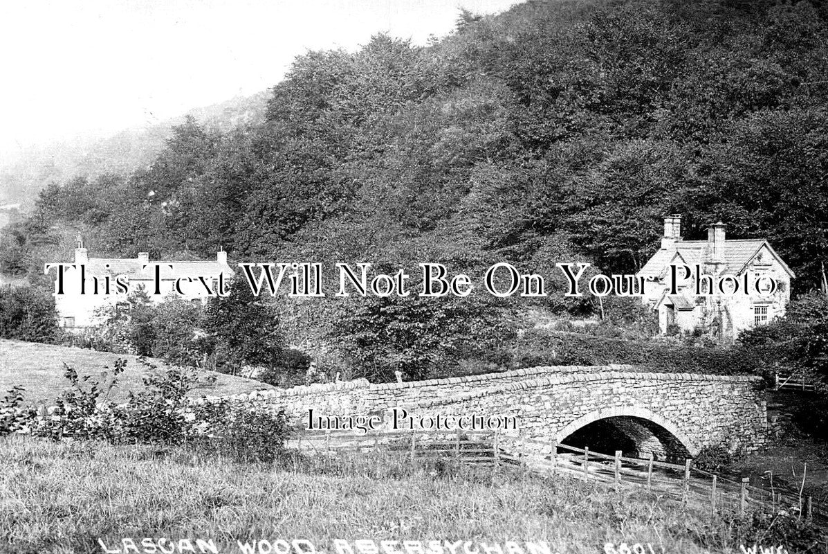 WL 2704 - Lascan Wood, Abersychan, Wales