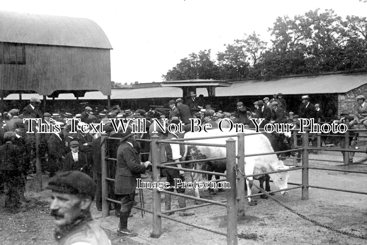 WO 578 - Evesham Cattle Market, Worcestershire