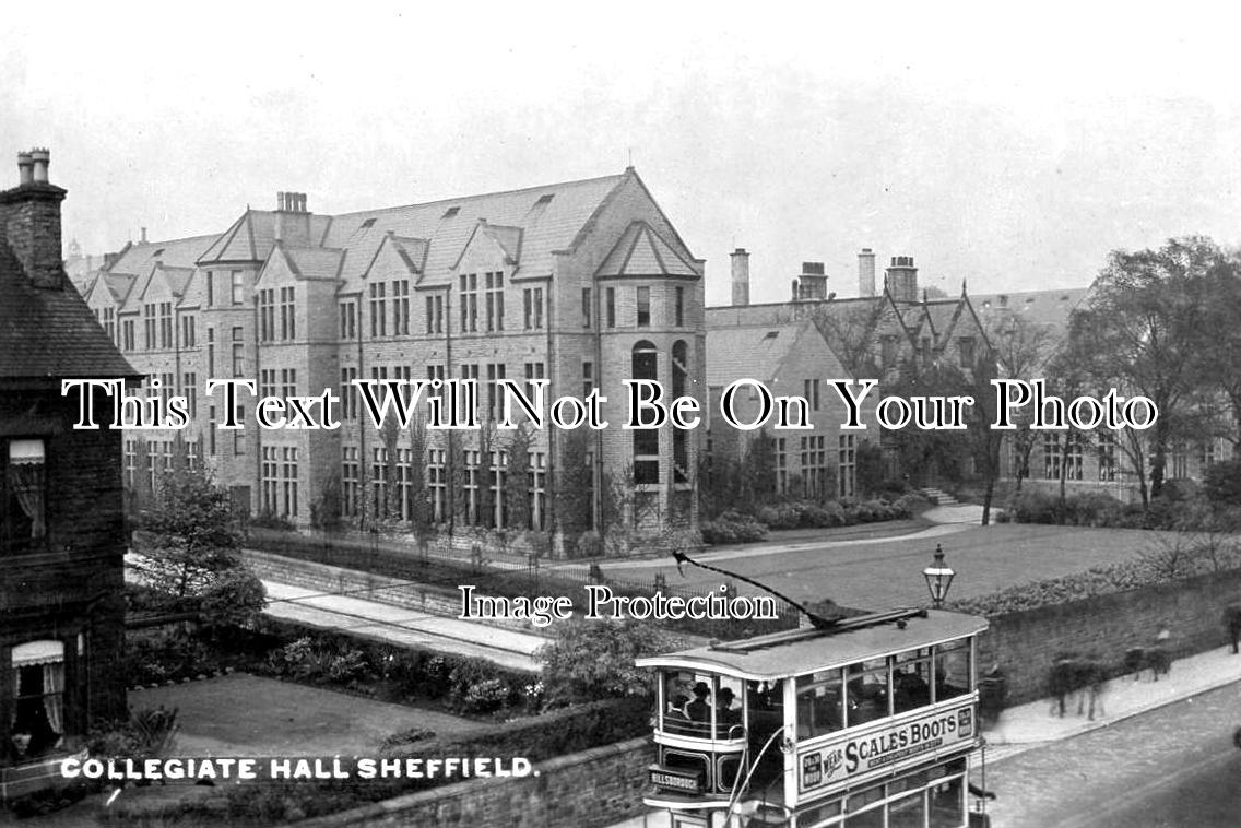YO 10150 - Collegiate Hall, Sheffield, Yorkshire c1924