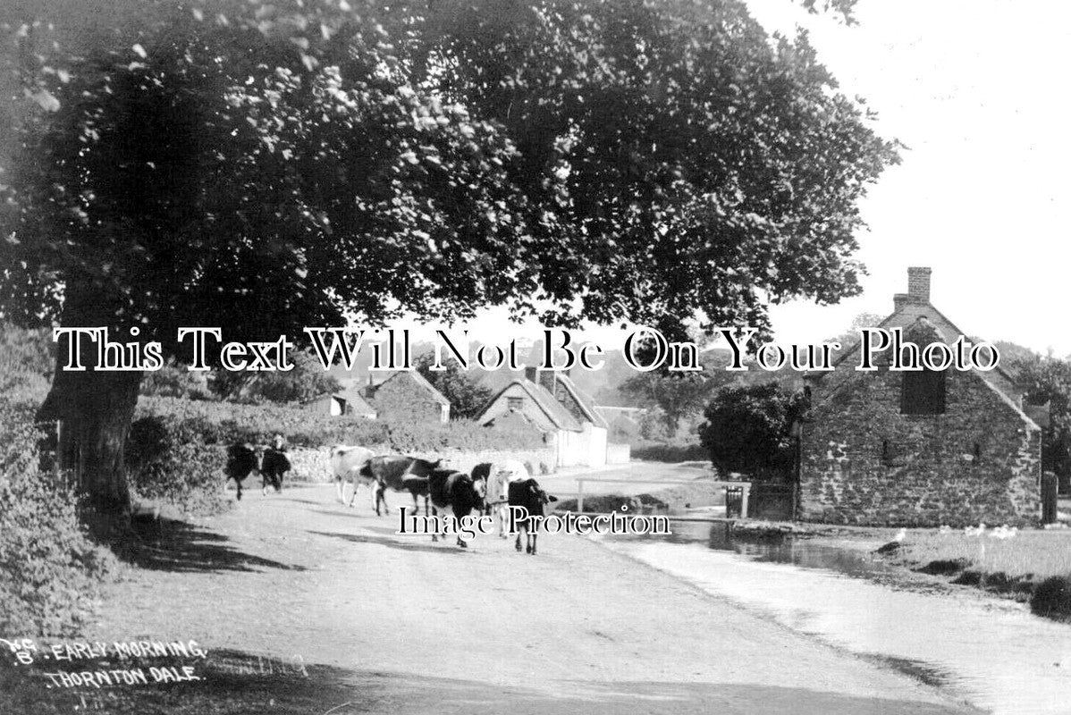YO 10267 - Thornton Dale, Yorkshire