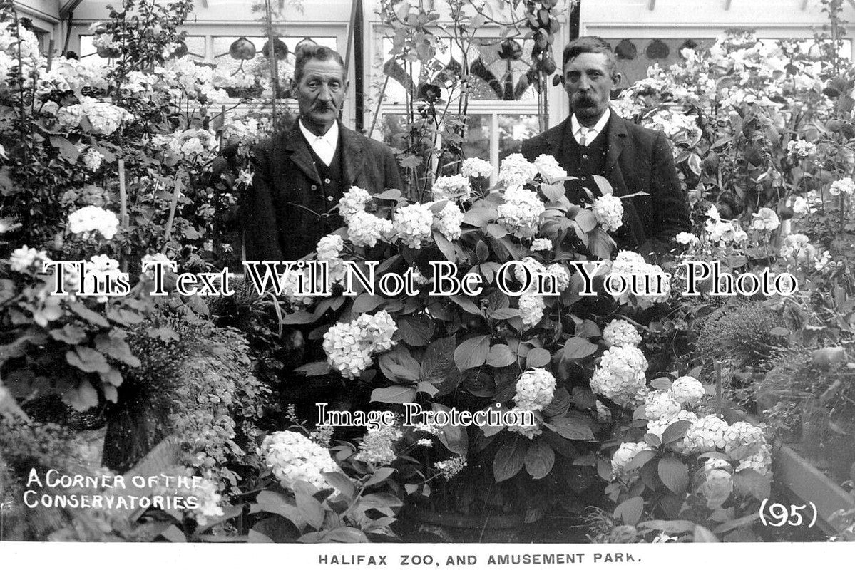 YO 10552 - Halifax Zoo & Amusement Park, Yorkshire