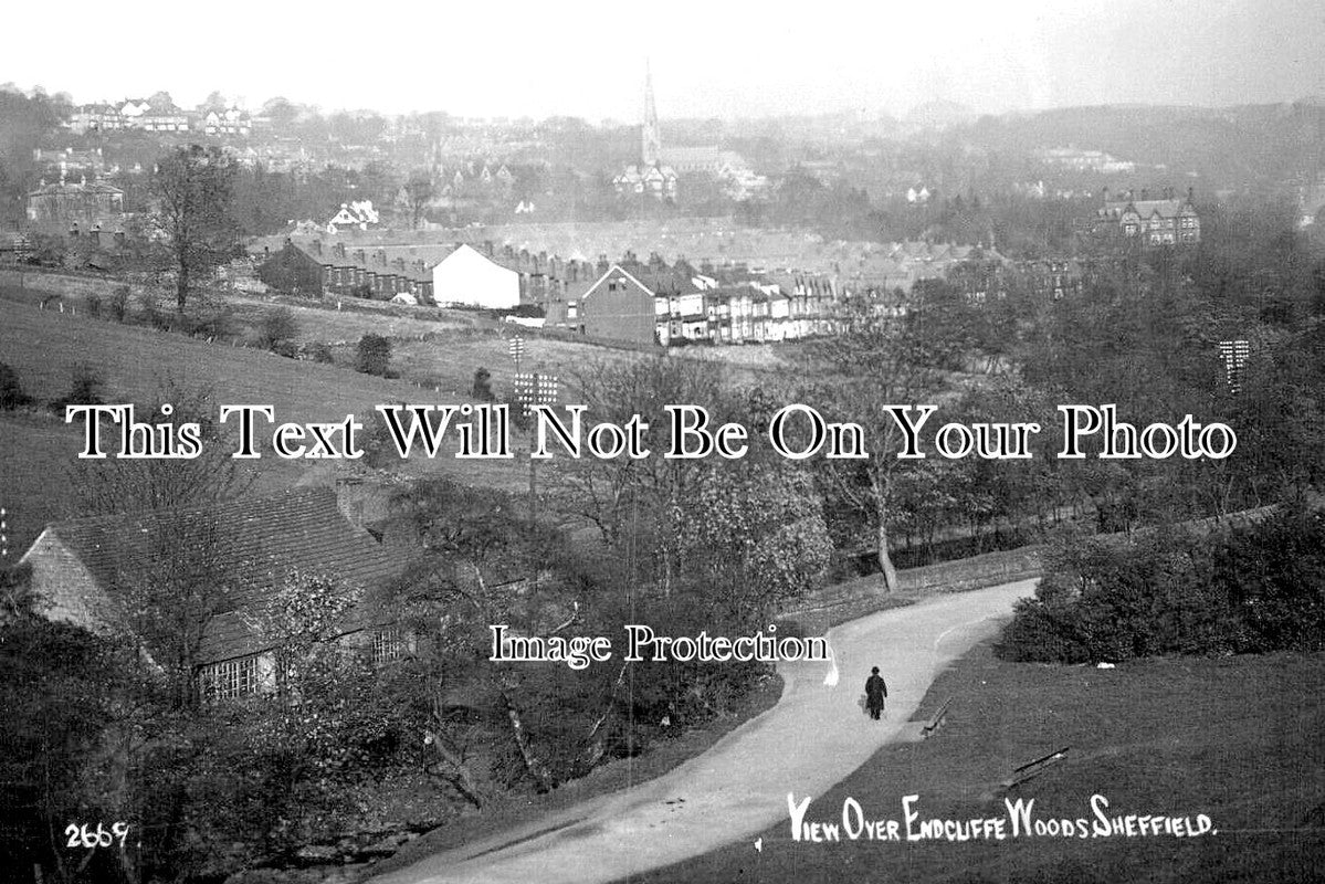 YO 10959 - View Over Endcliffe Woods, Sheffield, Yorkshire