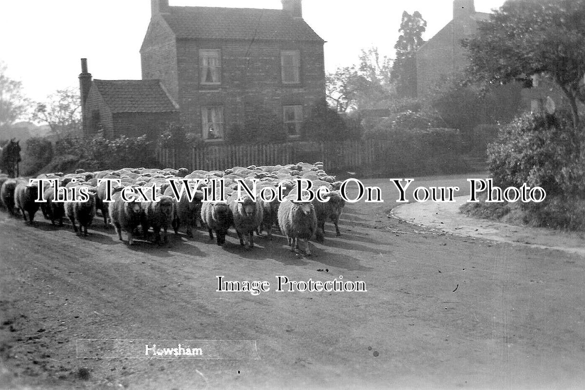 YO 11026 - Howsham, Yorkshire