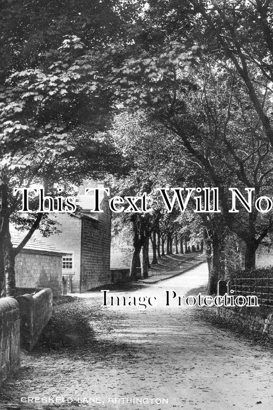 YO 11055 - Creskeld Lane, Arthington, Yorkshire c1911