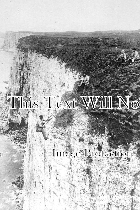 YO 11159 - Egg Climbing, Bempton, Yorkshire c1906