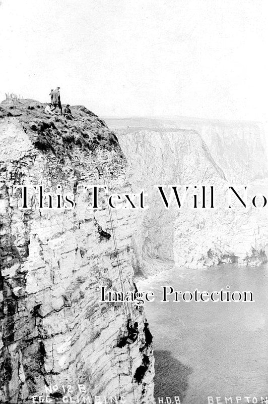 YO 11342 - Bempton Egg Climbing, Yorkshire