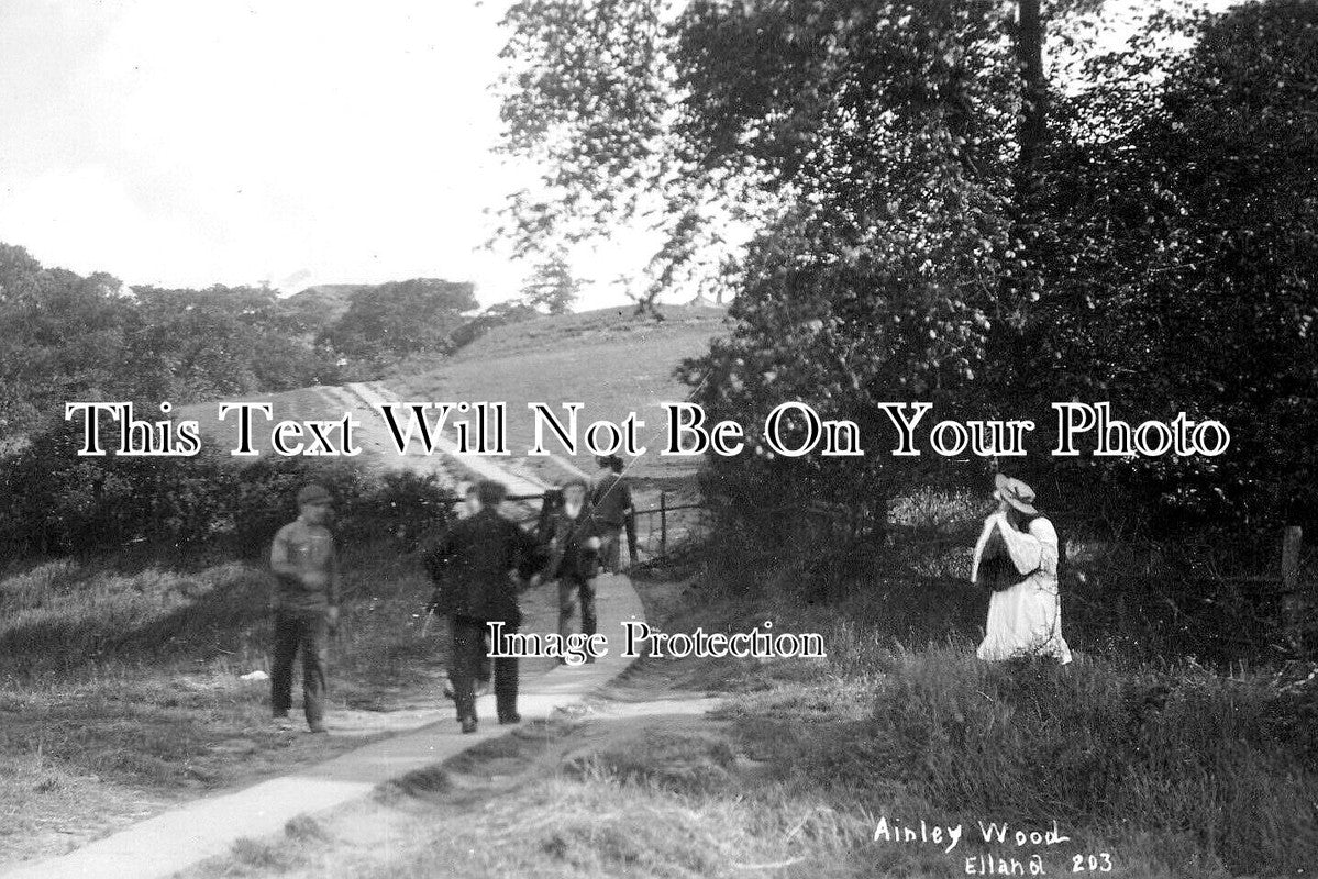 YO 12478 - Ainley Wood, Elland, Halifax, Yorkshire