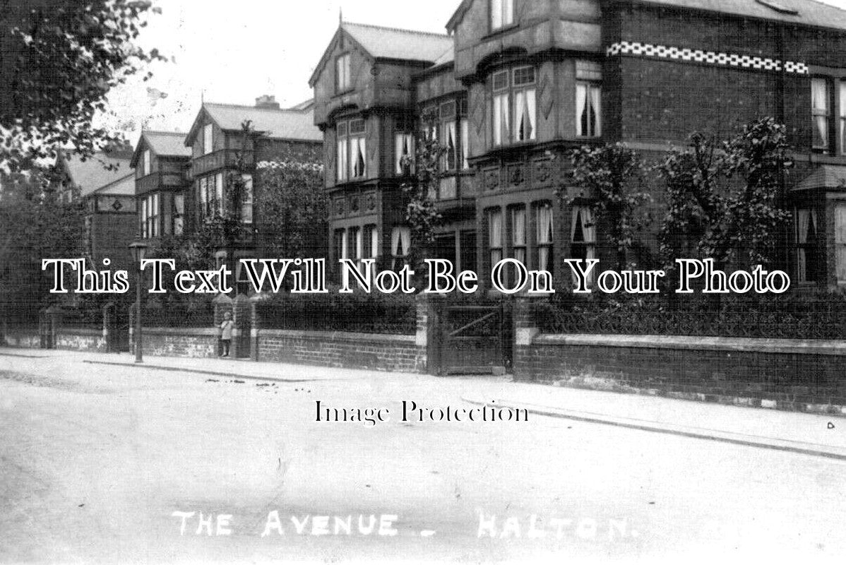 YO 12565 - The Avenue, Halton, Leeds, Yorkshire c1924