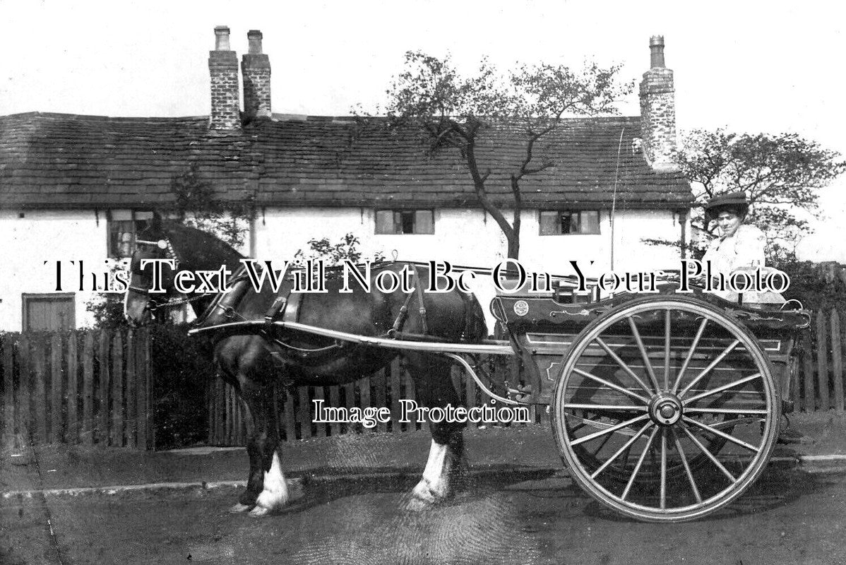 YO 12796 - Horse & Milk Cart, Halifax Area, Yorkshire