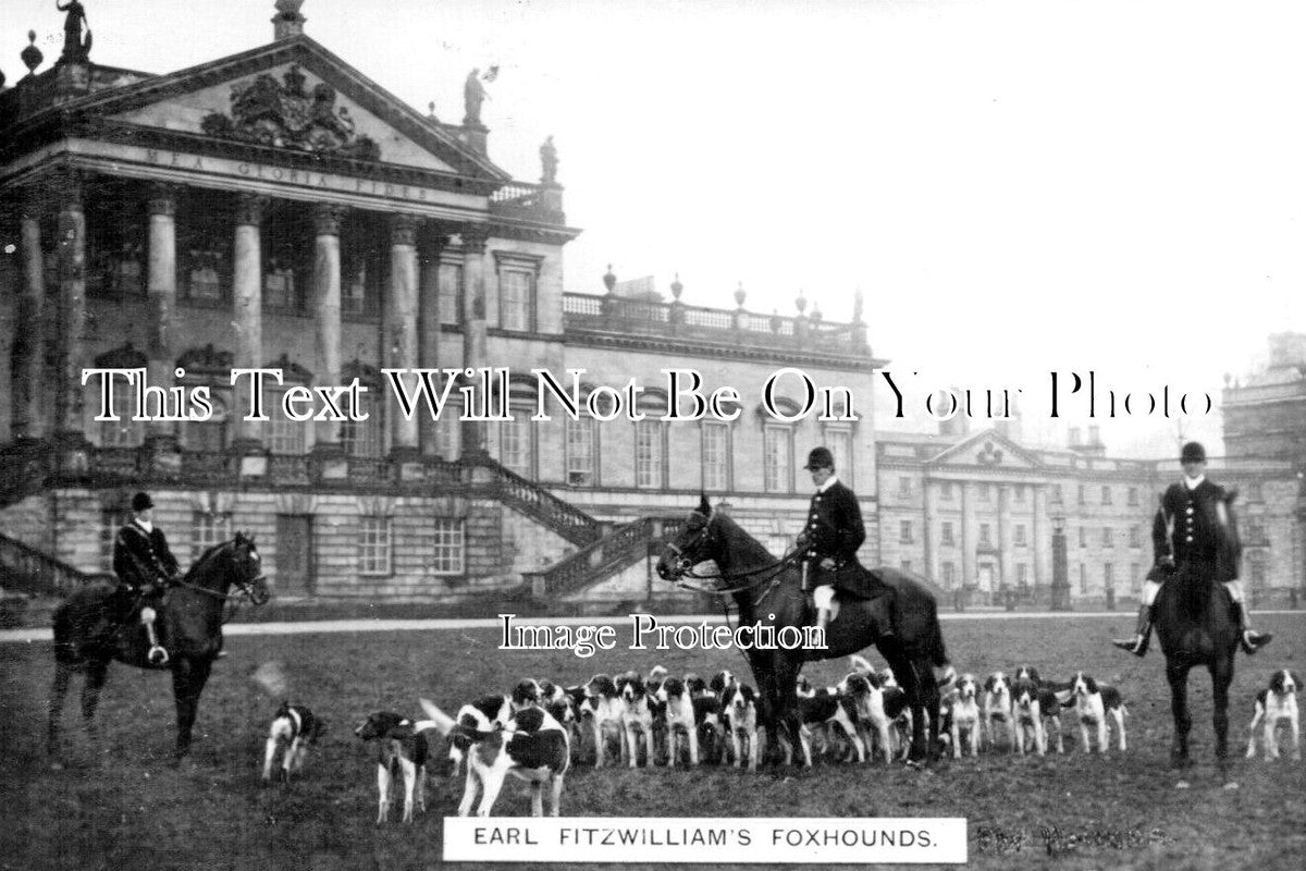 YO 13077 - Earl Fitzwilliams Foxhounds, Wentworth Hall, Yorkshire