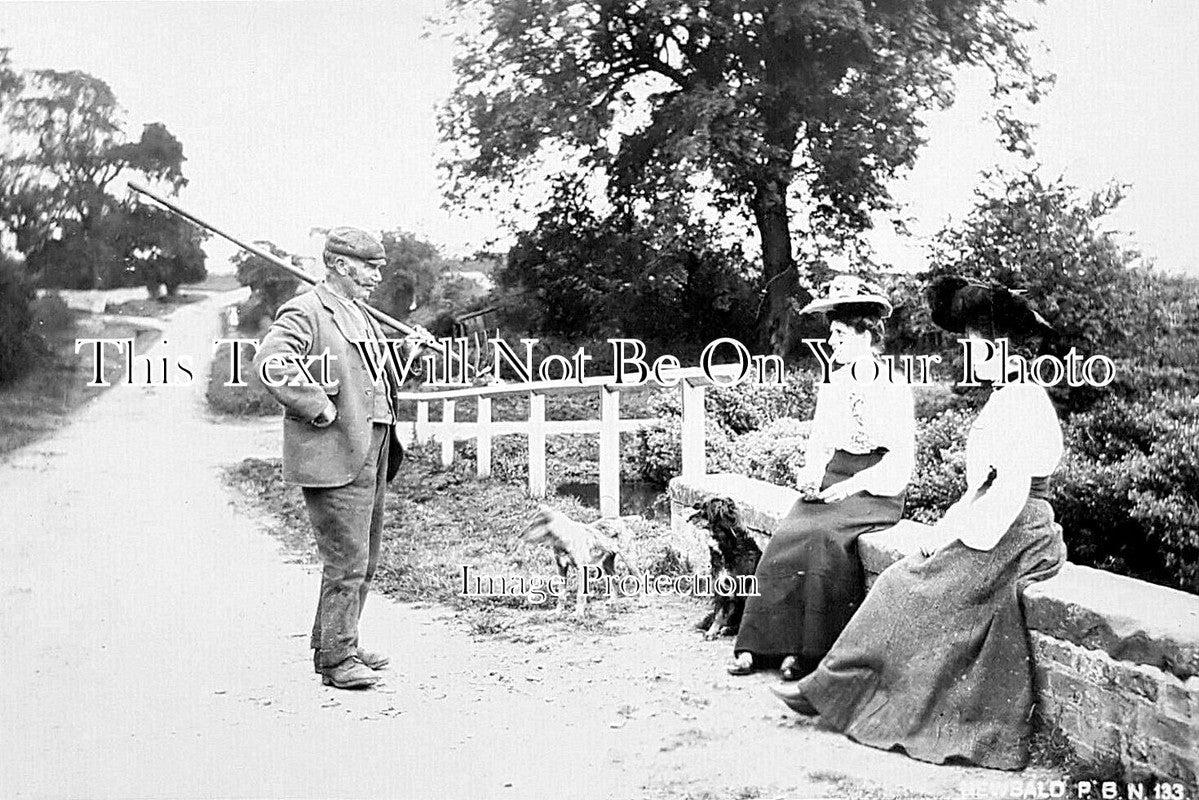 YO 13177 - Scene On Newbald, Yorkshire