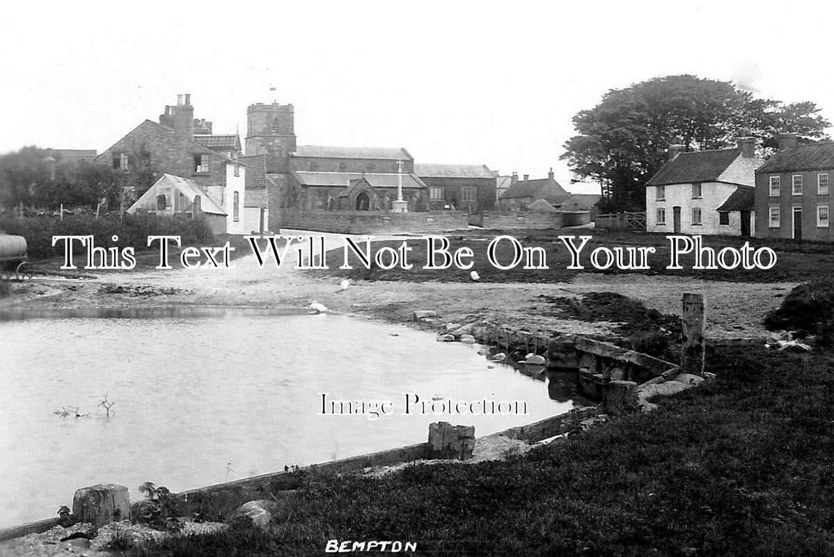 YO 13563 - Bempton, Yorkshire