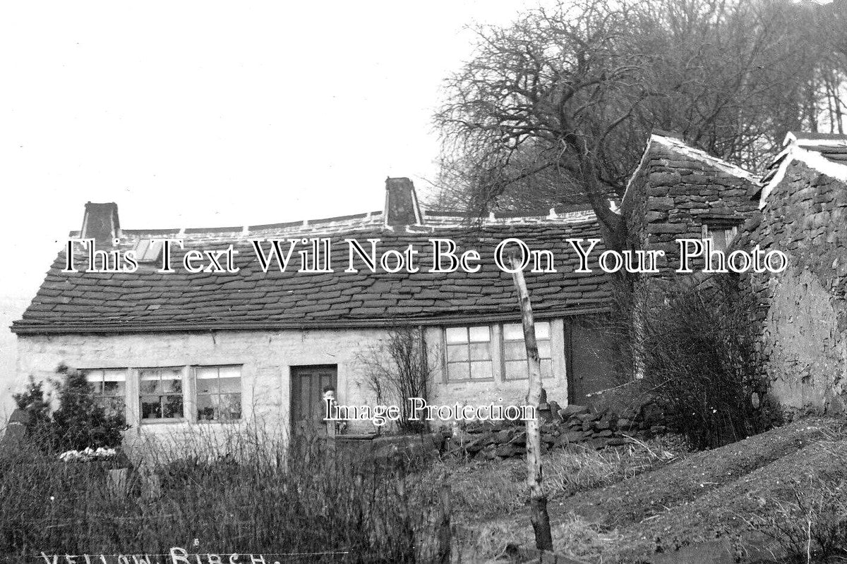 YO 13699 - Yellow Birch, Luddenden, Halifax, Yorkshire