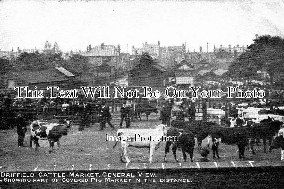YO 1883 - Driffield Cattle Market, Yorkshire