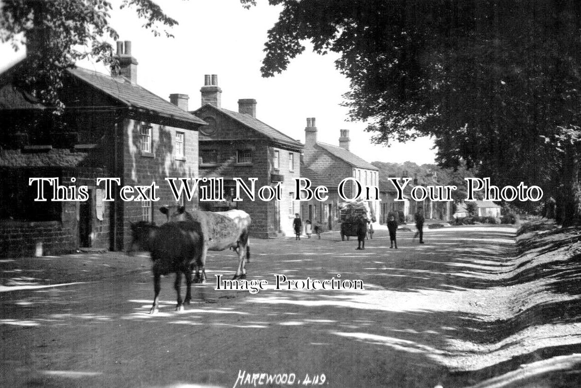 YO 2728 - Harewood, Yorkshire