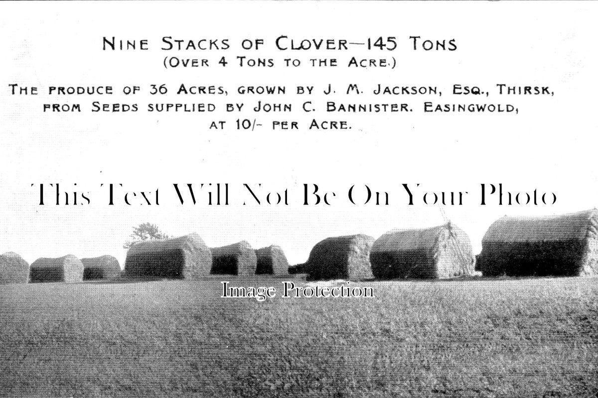 YO 3428 - Clover Stacks Grown By J.M.Jackson, Thirsk, Yorkshire